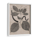 Hojas Elocuentes Ii - Vision Studio | Cuadro decorativo de Canvas Lab