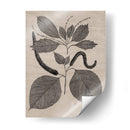 Hojas Elocuentes Ii - Vision Studio | Cuadro decorativo de Canvas Lab