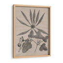 Hojas Elocuentes Iii - Vision Studio | Cuadro decorativo de Canvas Lab