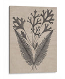 Hojas Elocuentes Iv - Vision Studio | Cuadro decorativo de Canvas Lab