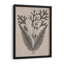 Hojas Elocuentes Iv - Vision Studio | Cuadro decorativo de Canvas Lab