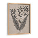 Hojas Elocuentes Iv - Vision Studio | Cuadro decorativo de Canvas Lab