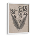 Hojas Elocuentes Iv - Vision Studio | Cuadro decorativo de Canvas Lab