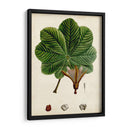 Verdant Folliage Ii - Vision Studio | Cuadro decorativo de Canvas Lab