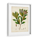 Verdant Folliage V - Vision Studio | Cuadro decorativo de Canvas Lab