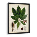 Verdant Folliage Vii - Vision Studio | Cuadro decorativo de Canvas Lab