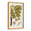 Variedades De Hojas I - Vision Studio | Cuadro decorativo de Canvas Lab