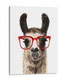 Cadera Llama I - Victoria Borges | Cuadro decorativo de Canvas Lab