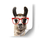 Cadera Llama I - Victoria Borges | Cuadro decorativo de Canvas Lab