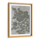 Peonía Floreciente Ii - Melissa Wang | Cuadro decorativo de Canvas Lab