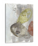 Earth Orbs Ii - Jennifer Goldberger | Cuadro decorativo de Canvas Lab
