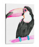 Tecnicicolor Toucan Ii - Jennifer Paxton Parker | Cuadro decorativo de Canvas Lab