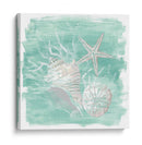 Surtido De Shell Degradado I - June Erica Vess | Cuadro decorativo de Canvas Lab