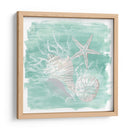 Surtido De Shell Degradado I - June Erica Vess | Cuadro decorativo de Canvas Lab