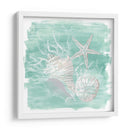 Surtido De Shell Degradado I - June Erica Vess | Cuadro decorativo de Canvas Lab