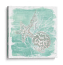Surgimiento De Shell Degradado Ii - June Erica Vess | Cuadro decorativo de Canvas Lab
