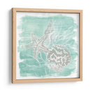 Surgimiento De Shell Degradado Ii - June Erica Vess | Cuadro decorativo de Canvas Lab