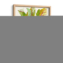 Cosecha Temprana Ii - Alicia Ludwig | Cuadro decorativo de Canvas Lab