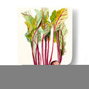 Cosecha Temprana Ii - Alicia Ludwig | Cuadro decorativo de Canvas Lab