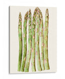 Cosecha Temprana Iii - Alicia Ludwig | Cuadro decorativo de Canvas Lab