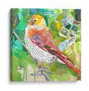 Signos De Primavera Iv - Elizabeth St. Hilaire | Cuadro decorativo de Canvas Lab