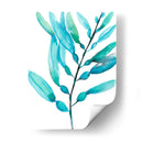 Acuarela Kelp I - Jennifer Goldberger | Cuadro decorativo de Canvas Lab