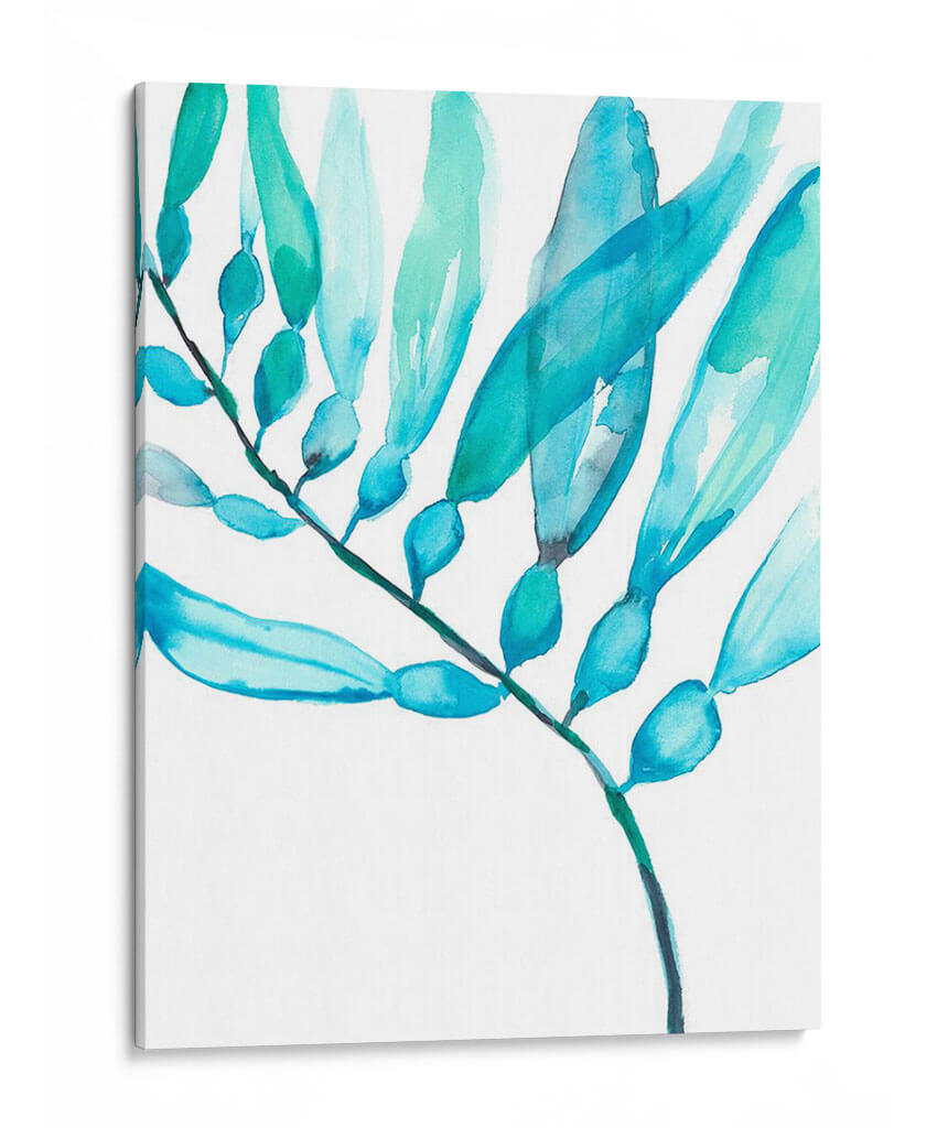 Acuarela Kelp Ii - Jennifer Goldberger | Cuadro decorativo de Canvas Lab