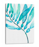 Acuarela Kelp Ii - Jennifer Goldberger | Cuadro decorativo de Canvas Lab