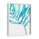 Acuarela Kelp Ii - Jennifer Goldberger | Cuadro decorativo de Canvas Lab