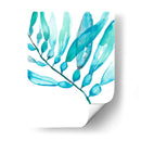 Acuarela Kelp Ii - Jennifer Goldberger | Cuadro decorativo de Canvas Lab