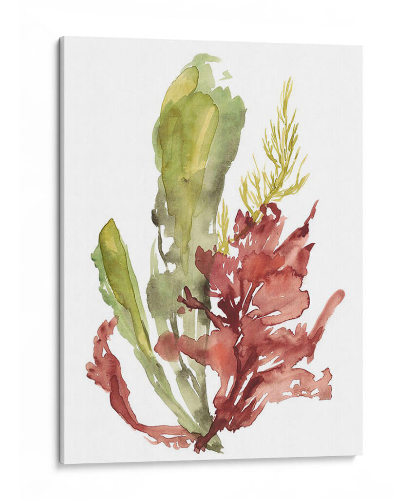 Jardín De Algas Mar - Jennifer Goldberger | Cuadro decorativo de Canvas Lab