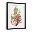 Jardín De Algas Mar - Jennifer Goldberger | Cuadro decorativo de Canvas Lab