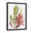 Jardín De Algas Mar - Jennifer Goldberger | Cuadro decorativo de Canvas Lab