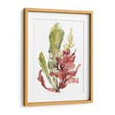 Jardín De Algas Mar - Jennifer Goldberger | Cuadro decorativo de Canvas Lab