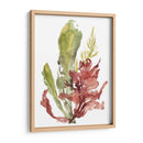 Jardín De Algas Mar - Jennifer Goldberger | Cuadro decorativo de Canvas Lab