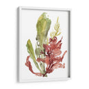 Jardín De Algas Mar - Jennifer Goldberger | Cuadro decorativo de Canvas Lab