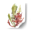 Jardín De Algas Mar - Jennifer Goldberger | Cuadro decorativo de Canvas Lab