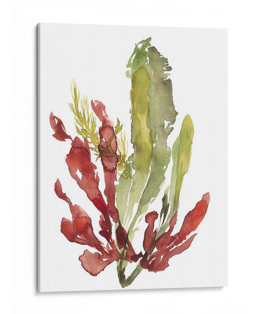 Jardín De Seaweed Ii - Jennifer Goldberger | Cuadro decorativo de Canvas Lab