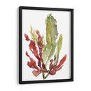 Jardín De Seaweed Ii - Jennifer Goldberger | Cuadro decorativo de Canvas Lab