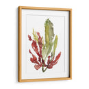 Jardín De Seaweed Ii - Jennifer Goldberger | Cuadro decorativo de Canvas Lab