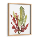 Jardín De Seaweed Ii - Jennifer Goldberger | Cuadro decorativo de Canvas Lab