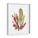 Jardín De Seaweed Ii - Jennifer Goldberger | Cuadro decorativo de Canvas Lab