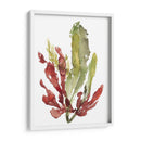 Jardín De Seaweed Ii - Jennifer Goldberger | Cuadro decorativo de Canvas Lab