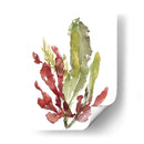 Jardín De Seaweed Ii - Jennifer Goldberger | Cuadro decorativo de Canvas Lab