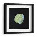 Almeja - Chef Capellini | Cuadro decorativo de Canvas Lab