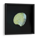 Almeja - Chef Capellini | Cuadro decorativo de Canvas Lab