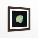 Almeja - Chef Capellini | Cuadro decorativo de Canvas Lab