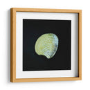 Almeja - Chef Capellini | Cuadro decorativo de Canvas Lab