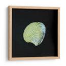 Almeja - Chef Capellini | Cuadro decorativo de Canvas Lab