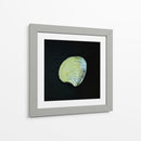 Almeja - Chef Capellini | Cuadro decorativo de Canvas Lab